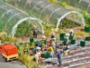 Gemüse und Erdbeeren im Folienanbau in H0 von Busch; Foto: fz